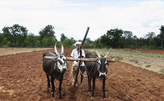 Farmers May Have To Declare That Agriculture Is Only Source Of Income: Minister