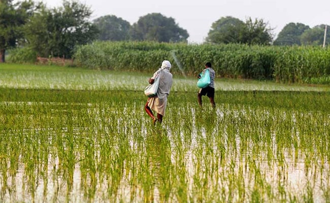 Maharashtra's Farm Loan Waiver Scheme To Be Implemented From October 15, Says Minister
