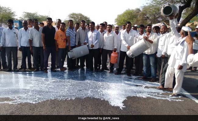 Milk Spilled, Veggies Dumped After Maharashtra Farmers Begin Indefinite Strike