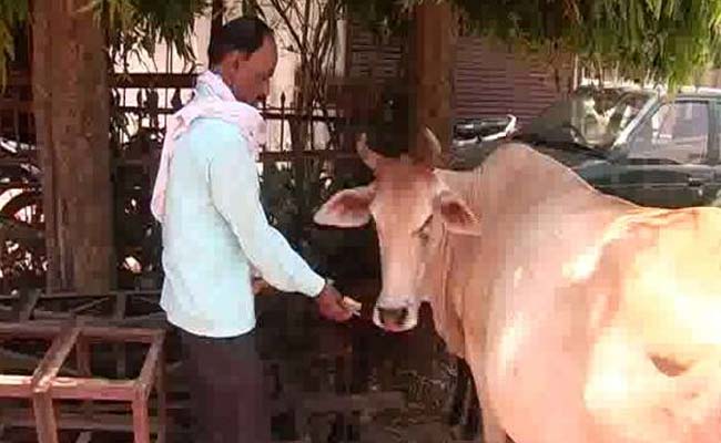 gausewa of asadullah khan gauri 650