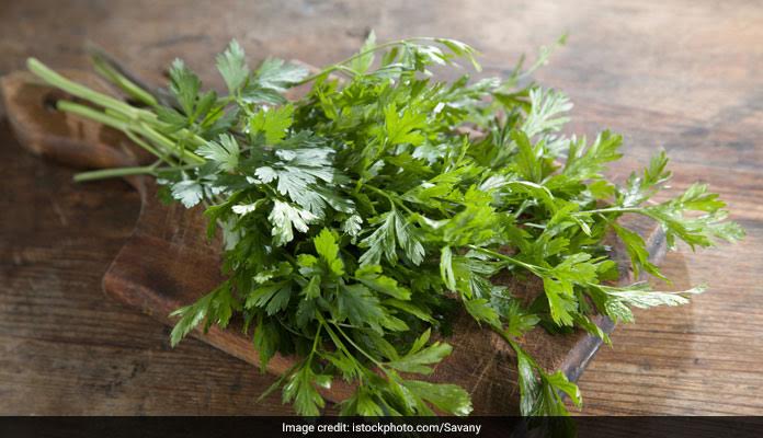 herb healthy green