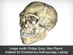 Oldest Homo Sapiens Fossils Discovered In Morocco