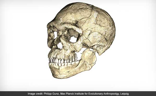 Oldest Homo Sapiens Fossils Discovered In Morocco