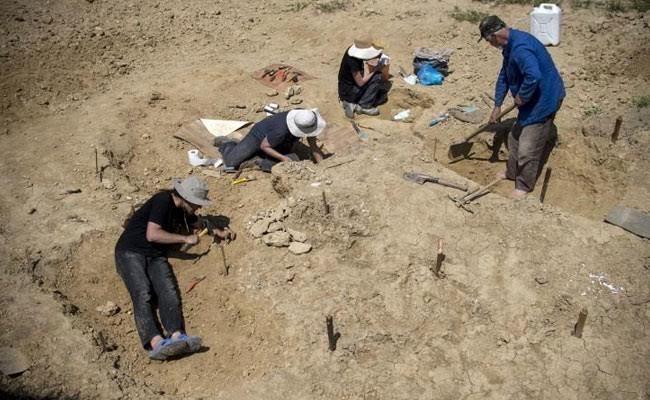 धरती पर इंसान की उत्पत्ति क्लाइमेट चेंज के कारण नहीं, क्या यह सिर्फ एक संयोग?