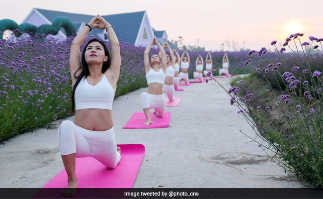 International Yoga Day 2017: Over 180 Countries Celebrate 'India's Prescription Of Wellness' | Photos