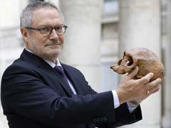 Moroccan Fossil Find Rearranges Homo Sapiens Family Tree