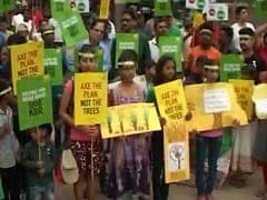 Citizens Take On Telangana Government To Protect Hyderabad's Trees