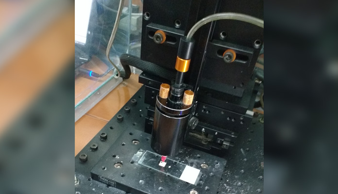 Knee Cartilage Recreated by IIT Delhi Team