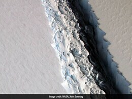 As Trump Mulls Paris Climate Deal, Antarctica Could Soon Break Off A Delaware-Sized Iceberg As Trump Mulls Paris Climate Deal, Antarctica Could Soon Break Off A Delaware-Sized Iceberg