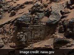 Life On Mars: Study Shows Ancient Lake On Mars Harboured Diverse Microbial Life