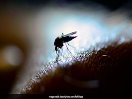 World Malaria Day: 5 Reasons Why A Mosquito Bites You And Not Others World Malaria Day: 5 Reasons Why A Mosquito Bites You And Not Others