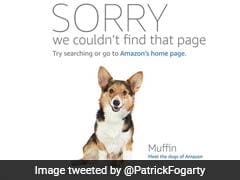 Amazon Error Sends Some Shoppers To Dog Photo, Not Product Page