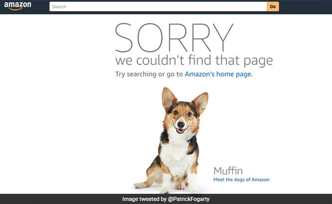 Amazon Error Sends Some Shoppers To Dog Photo, Not Product Page