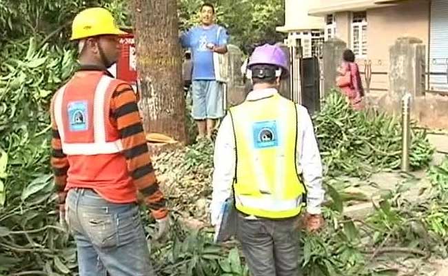 Tree Cutting For Metro Begins In Mumbai, Citizens Divided On The Environmental Cost
