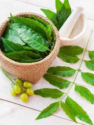 Neem For Hair: How To Use The Ayurvedic Wonder For All Your Hair Woes