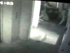 CCTV Shows Noida Engineer Running. Man Shooting Her In Head