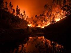 पुर्तगाल के जंगलों की आग तीसरे दिन भी बेकाबू, मरने वालों की संख्या 62 हुई
