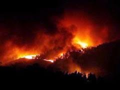 Huge Portugal Forest Fires Atleast Kill 57, Injure Scores