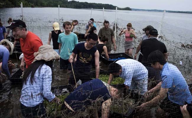 Envoys Wade In To Help US Waters Despite Donald Trump's Climate Snub