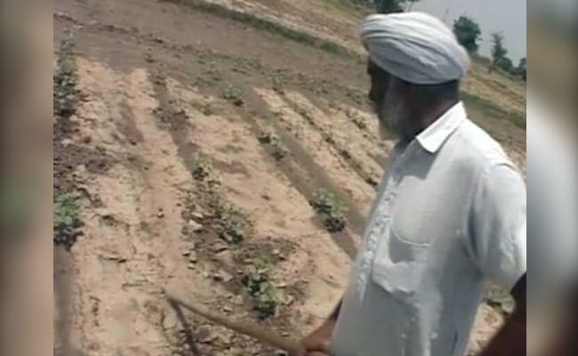 No Move To Sell Land Of Loan-Defaulter Farmers: Punjab Minister