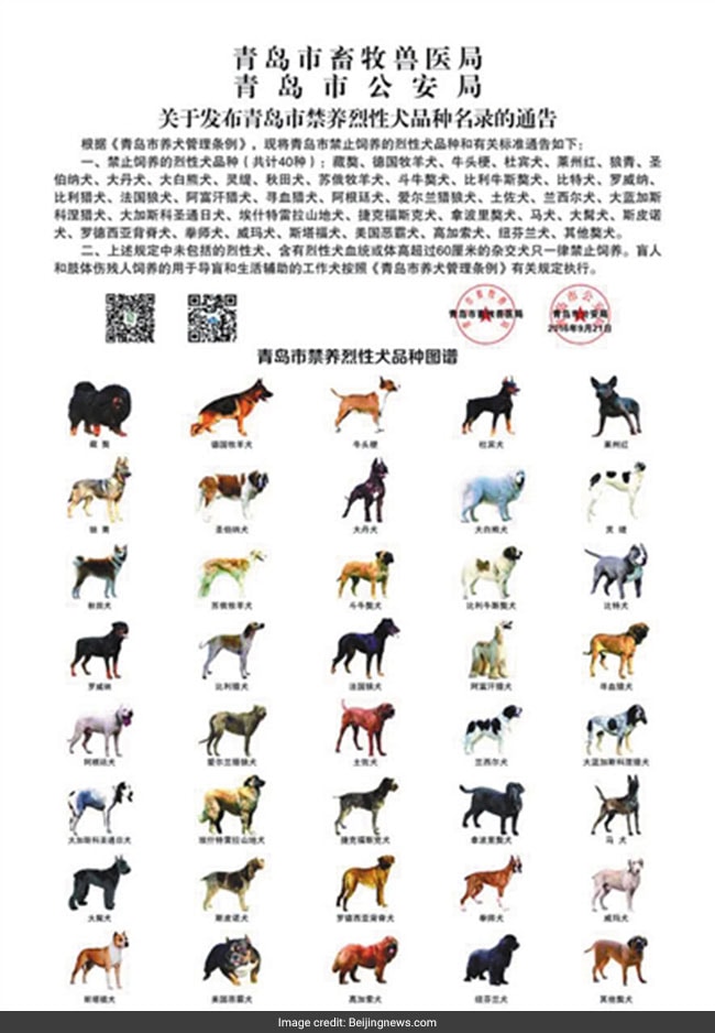 qingdao banned dogs