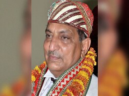 Peacocks Don't Have Sex, Says Judge Who Recommended Cow As National Animal Peacocks Don't Have Sex, Says Judge Who Recommended Cow As National Animal