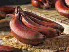 6 Red Banana Health Benefits You Wouldn't Know About