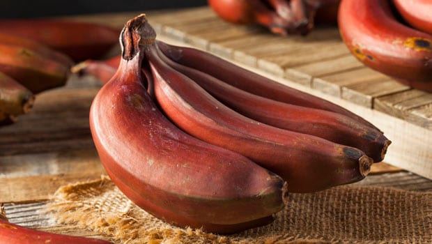 Red Banana For Health: ब्लड प्रेशर और वजन को कंट्रोल करने में मददगार है लाल केले का सेवन, जानें 5 जबरदस्त लाभ!