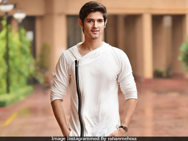 <i>Bigg Boss 10</i> Contestant Rohan Mehra's Next Television Show Is...