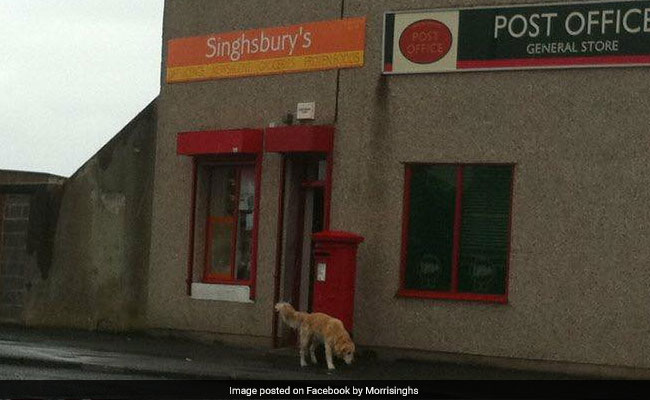 singhburys 650