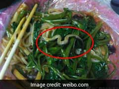 Not What I Ordered: Student Finds Snake Inside Noodles