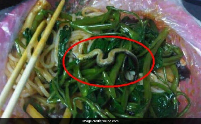 Not What I Ordered: Student Finds Snake Inside Noodles