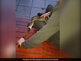 हमारी तो यही सलाह-  कमजोर दिल वाले बिलकुल न देखें यह Video हमारी तो यही सलाह-  कमजोर दिल वाले बिलकुल न देखें यह Video