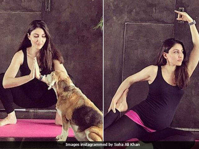 International Yoga Day: Soha Ali Khan Posed (For Herself) With Baby Bump And A Dog