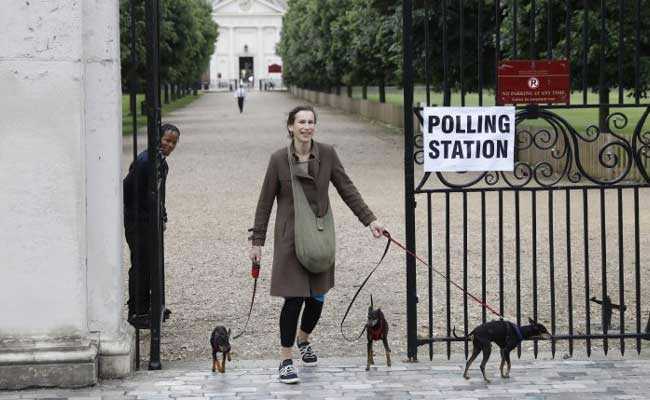 Pooches Lift Spirits At Polling Stations During UK Election