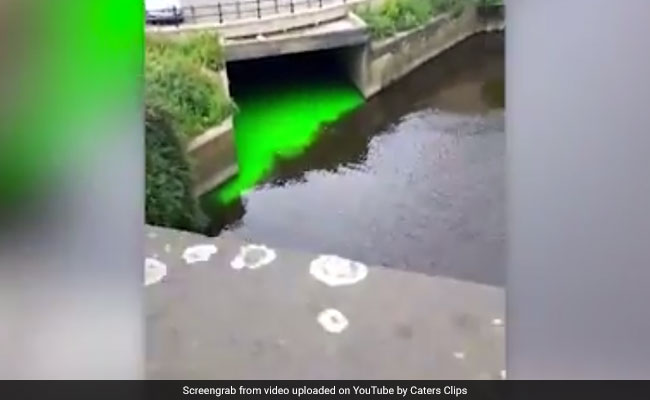 Video : नदी का पानी पुल के पास आते ही हो जाता है हरा
