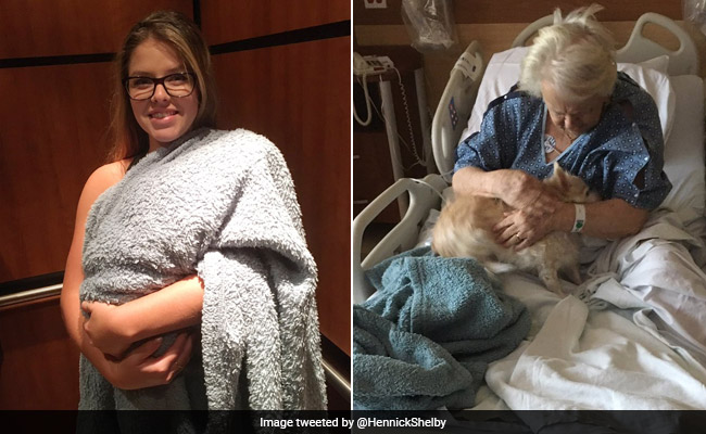 Hospitalised Woman Wanted To See Her Dog. Her Granddaughter Did This