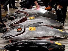 World's Biggest Fish Market In Tokyo Will Be Moved To New Location: Report