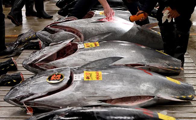 World's Biggest Fish Market In Tokyo Will Be Moved To New Location: Report