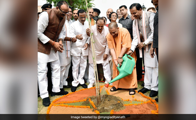 Yogi Adityanath's Birthday Message To Farmers: Plant 10 Saplings Each