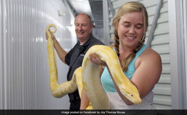 Officer Gets Call About Storage Unit. Inside, An 11-Foot Python