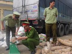 3 Tonnes Of Ivory Seized In Vietnam