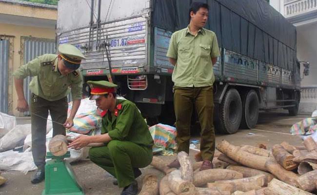 3 Tonnes Of Ivory Seized In Vietnam