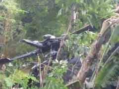 Wreckage Of Missing Air Force Helicopter Found In Arunachal Pradesh