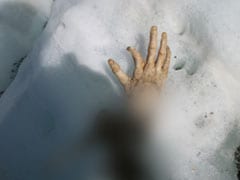 Human Remains Found On Mont Blanc May Belong To Air India Crash Victims