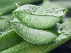 4 Health Benefits Of Aloe Vera You Didn't Know