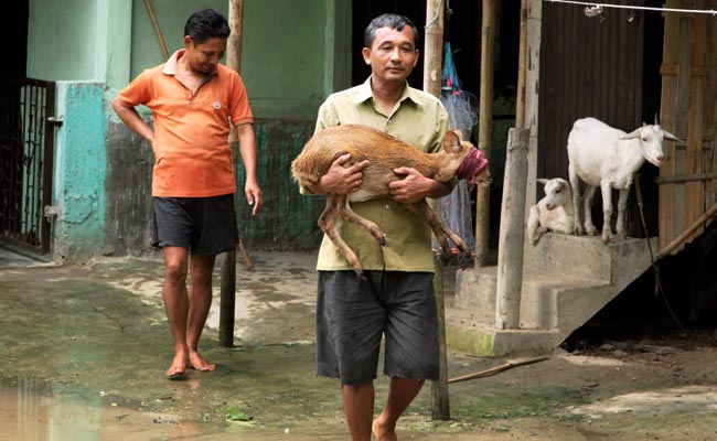 85 Dead From Floods In Northeast, Over 17 Lakh Hit In Assam