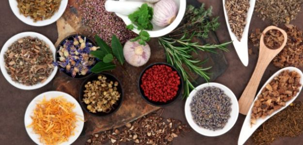 Ayurveda Students Set Guinness Book Record In Jaipur