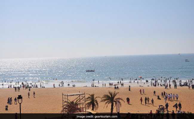 Goa Beach-Goers Warned About Portuguese Man-Of-War