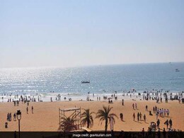 Goa Beach-Goers Warned About Portuguese Man-Of-War Goa Beach-Goers Warned About Portuguese Man-Of-War
